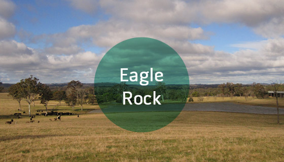 eagle-cover